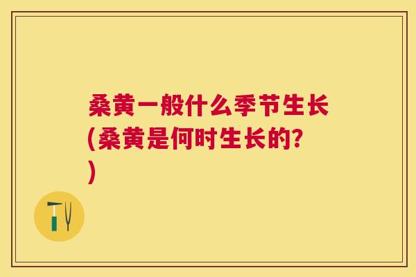 桑黄一般什么季节生长(桑黄是何时生长的?) 桑黄一般什么季节生长(桑黄是何时生长的?)