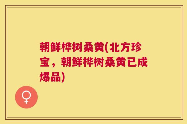 朝鲜桦树桑黄(北方珍宝,朝鲜桦树桑黄已成爆品) 朝鲜桦树桑黄(北方珍宝,朝鲜桦树桑黄已成爆品)