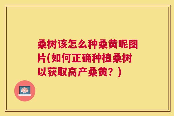 桑树该怎么种桑黄呢图片(如何正确种植桑树以获取高产桑黄?) 桑树该怎么种桑黄呢图片(如何正确种植桑树以获取高产桑黄?)