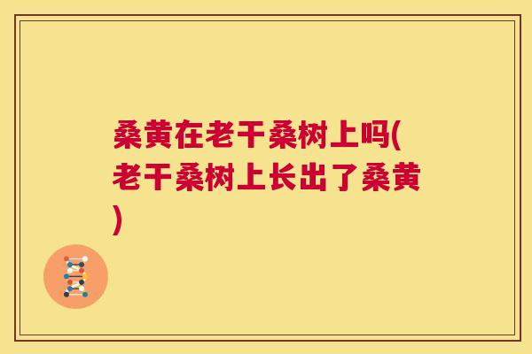桑黄在老干桑树上吗(老干桑树上长出了桑黄) 桑黄在老干桑树上吗(老干桑树上长出了桑黄)