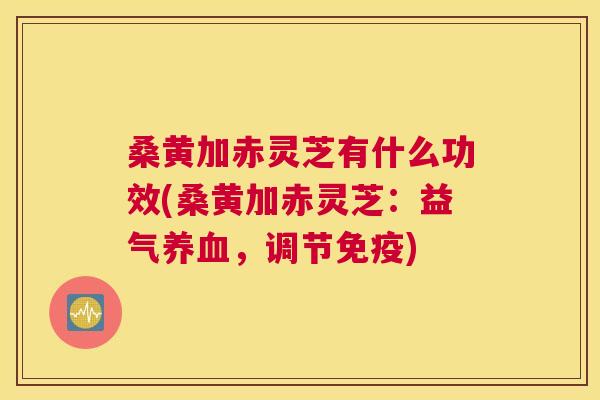 桑黄加赤灵芝有什么功效(桑黄加赤灵芝:益气,调节) 桑黄加赤灵芝有什么功效(桑黄加赤灵芝:益气,调节)