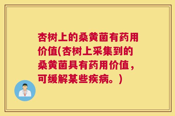 杏树上的桑黄菌有药用价值(杏树上采集到的桑黄菌具有药用价值,可缓解某些。) 杏树上的桑黄菌有药用价值(杏树上采集到的桑黄菌具有药用价值,可缓解某些。)