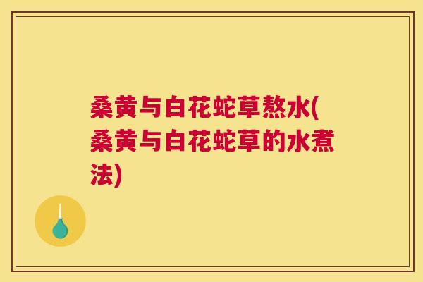 桑黄与白花蛇草熬水(桑黄与白花蛇草的水煮法) 桑黄与白花蛇草熬水(桑黄与白花蛇草的水煮法)
