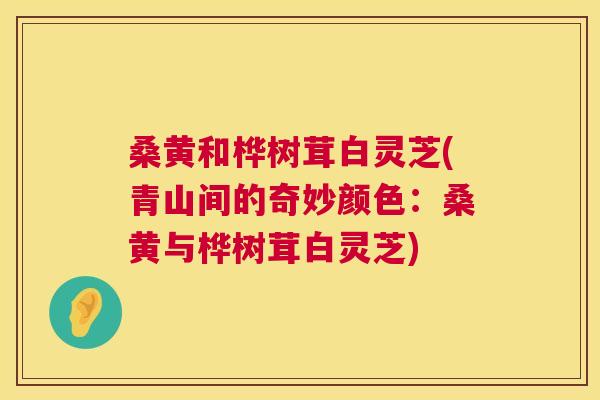桑黄和桦树茸白灵芝(青山间的奇妙颜色:桑黄与桦树茸白灵芝) 桑黄和桦树茸白灵芝(青山间的奇妙颜色:桑黄与桦树茸白灵芝)