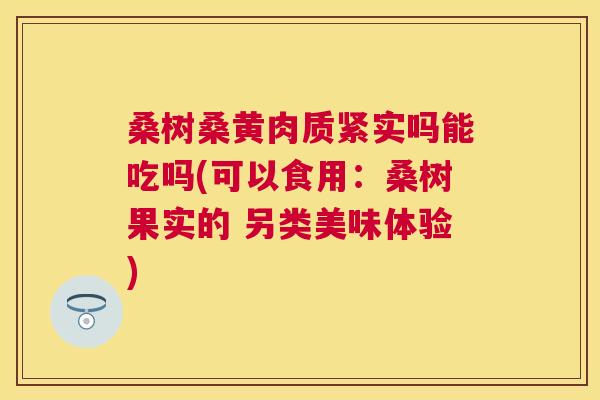 桑树桑黄肉质紧实吗能吃吗(可以食用：桑树果实的 另类美味体验)