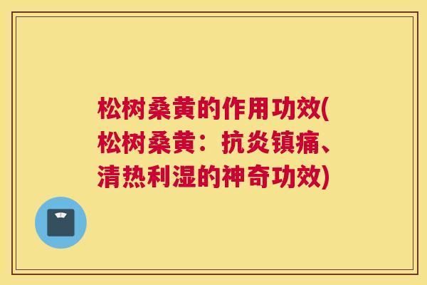 松树桑黄的作用功效(松树桑黄:、清热利湿的神奇功效) 松树桑黄的作用功效(松树桑黄:、清热利湿的神奇功效)