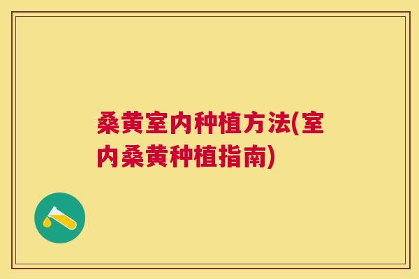 桑黄室内种植方法(室内桑黄种植指南)