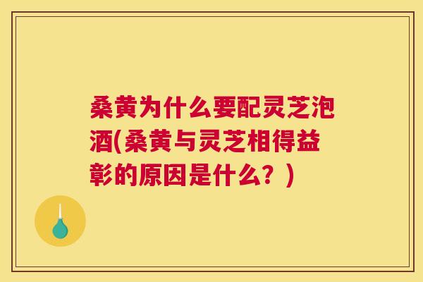 桑黄为什么要配灵芝泡酒(桑黄与灵芝相得益彰的原因是什么?) 桑黄为什么要配灵芝泡酒(桑黄与灵芝相得益彰的原因是什么?)