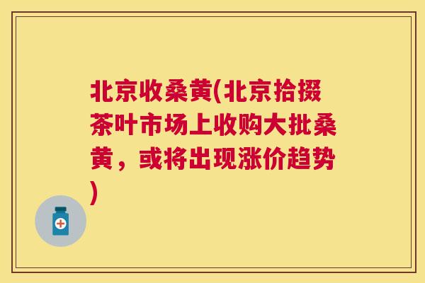 北京收桑黄(北京拾掇茶叶市场上收购大批桑黄,或将出现涨价趋势) 北京收桑黄(北京拾掇茶叶市场上收购大批桑黄,或将出现涨价趋势)