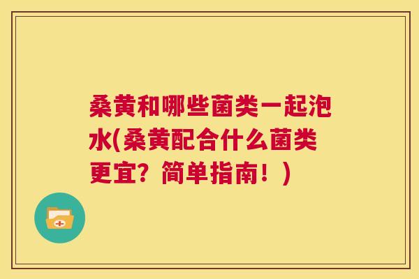 桑黄和哪些菌类一起泡水(桑黄配合什么菌类更宜?简单指南!) 桑黄和哪些菌类一起泡水(桑黄配合什么菌类更宜?简单指南!)