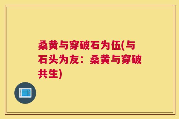 桑黄与穿破石为伍(与石头为友:桑黄与穿破共生) 桑黄与穿破石为伍(与石头为友:桑黄与穿破共生)