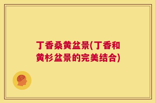 丁香桑黄盆景(丁香和黄杉盆景的完美结合) 丁香桑黄盆景(丁香和黄杉盆景的完美结合)
