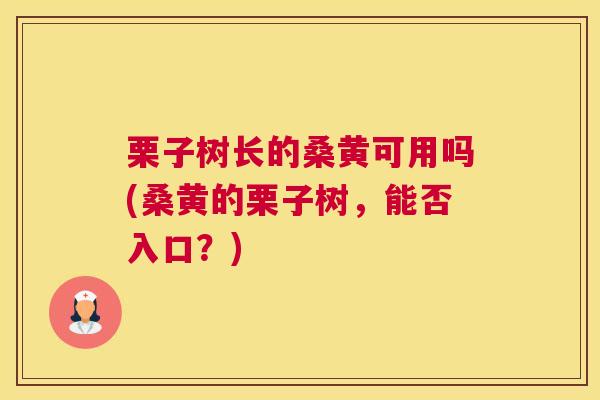 栗子树长的桑黄可用吗(桑黄的栗子树，能否入口？)