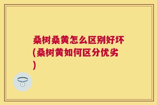 桑树桑黄怎么区别好坏(桑树黄如何区分优劣) 桑树桑黄怎么区别好坏(桑树黄如何区分优劣)