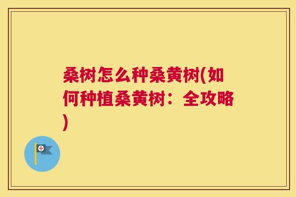 桑树怎么种桑黄树(如何种植桑黄树:全攻略) 桑树怎么种桑黄树(如何种植桑黄树:全攻略)