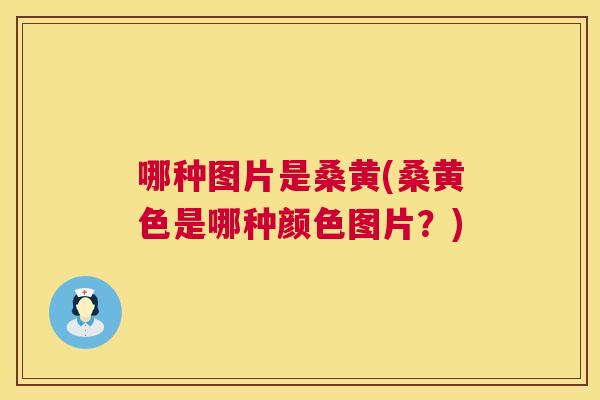 哪种图片是桑黄(桑黄色是哪种颜色图片？)