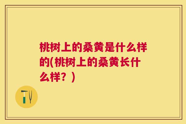 桃树上的桑黄是什么样的(桃树上的桑黄长什么样?) 桃树上的桑黄是什么样的(桃树上的桑黄长什么样?)