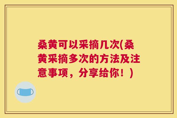 桑黄可以采摘几次(桑黄采摘多次的方法及注意事项,分享给你!) 桑黄可以采摘几次(桑黄采摘多次的方法及注意事项,分享给你!)