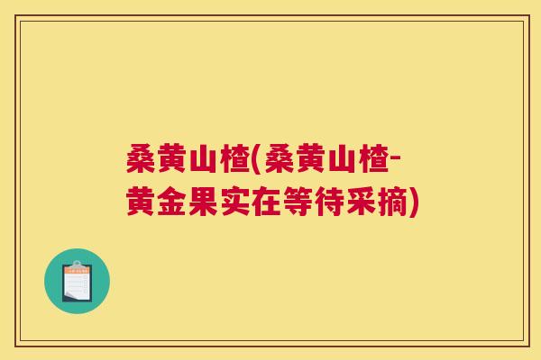 桑黄山楂(桑黄山楂-黄金果实在等待采摘) 桑黄山楂(桑黄山楂-黄金果实在等待采摘)