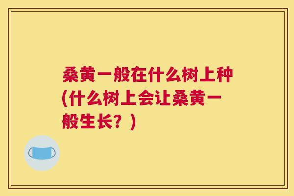 桑黄一般在什么树上种(什么树上会让桑黄一般生长?) 桑黄一般在什么树上种(什么树上会让桑黄一般生长?)