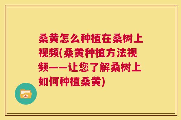 桑黄怎么种植在桑树上视频(桑黄种植方法视频——让您了解桑树上如何种植桑黄) 桑黄怎么种植在桑树上视频(桑黄种植方法视频——让您了解桑树上如何种植桑黄)