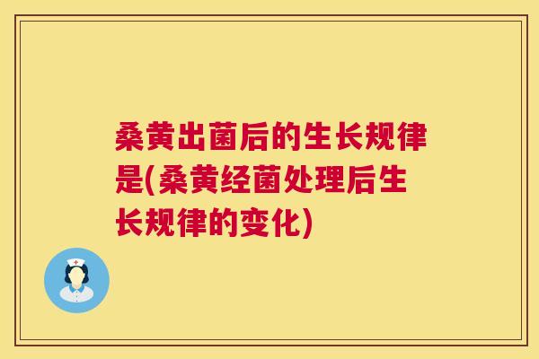 桑黄出菌后的生长规律是(桑黄经菌处理后生长规律的变化) 桑黄出菌后的生长规律是(桑黄经菌处理后生长规律的变化)