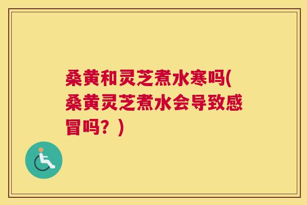 桑黄和灵芝煮水寒吗(桑黄灵芝煮水会导致吗?) 桑黄和灵芝煮水寒吗(桑黄灵芝煮水会导致吗?)