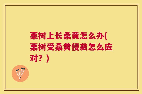 栗树上长桑黄怎么办(栗树受桑黄侵袭怎么应对?) 栗树上长桑黄怎么办(栗树受桑黄侵袭怎么应对?)