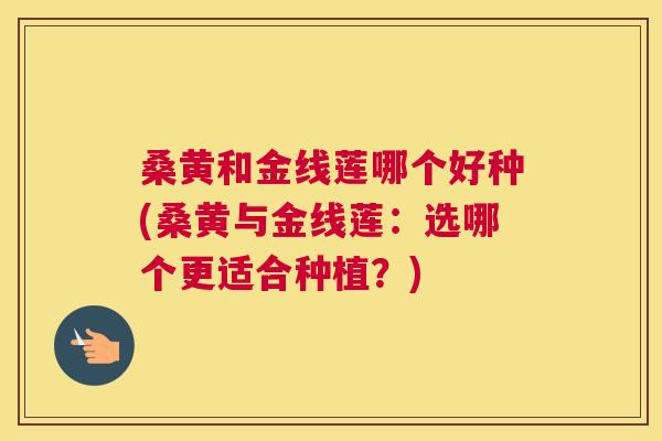桑黄和金线莲哪个好种(桑黄与金线莲:选哪个更适合种植?) 桑黄和金线莲哪个好种(桑黄与金线莲:选哪个更适合种植?)