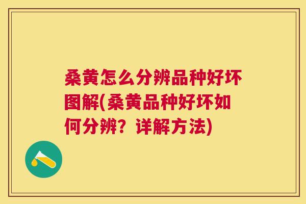 桑黄怎么分辨品种好坏图解(桑黄品种好坏如何分辨?详解方法) 桑黄怎么分辨品种好坏图解(桑黄品种好坏如何分辨?详解方法)
