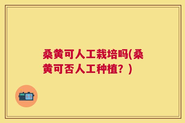 桑黄可人工栽培吗(桑黄可否人工种植?) 桑黄可人工栽培吗(桑黄可否人工种植?)