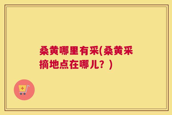 桑黄哪里有采(桑黄采摘地点在哪儿?) 桑黄哪里有采(桑黄采摘地点在哪儿?)