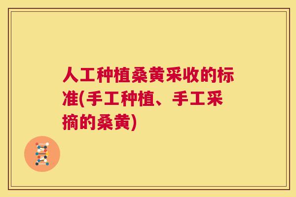 人工种植桑黄采收的标准(手工种植、手工采摘的桑黄) 人工种植桑黄采收的标准(手工种植、手工采摘的桑黄)