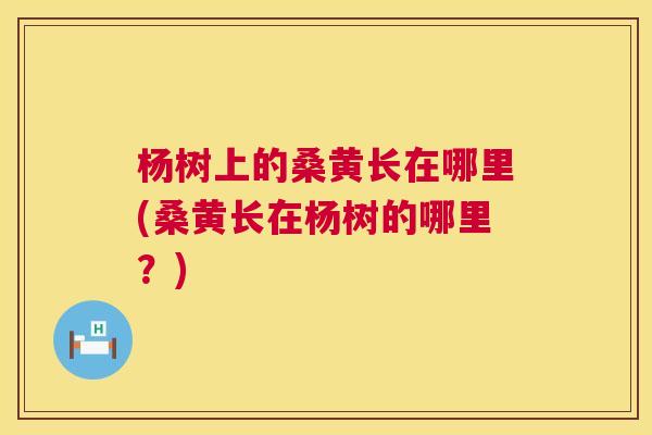 杨树上的桑黄长在哪里(桑黄长在杨树的哪里?) 杨树上的桑黄长在哪里(桑黄长在杨树的哪里?)
