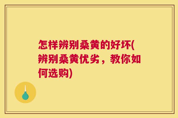 怎样辨别桑黄的好坏(辨别桑黄优劣,教你如何选购) 怎样辨别桑黄的好坏(辨别桑黄优劣,教你如何选购)
