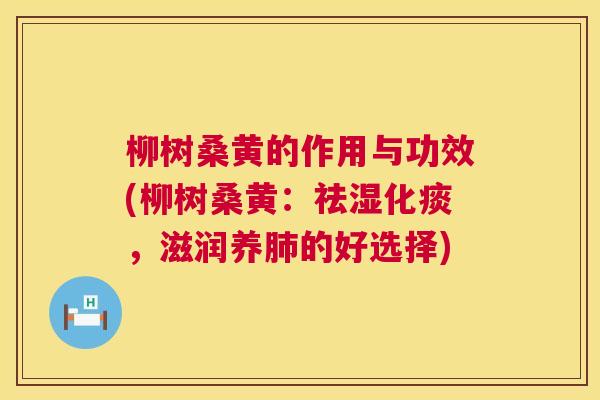 柳树桑黄的作用与功效(柳树桑黄:祛湿化痰,滋润养的好选择) 柳树桑黄的作用与功效(柳树桑黄:祛湿化痰,滋润养的好选择)