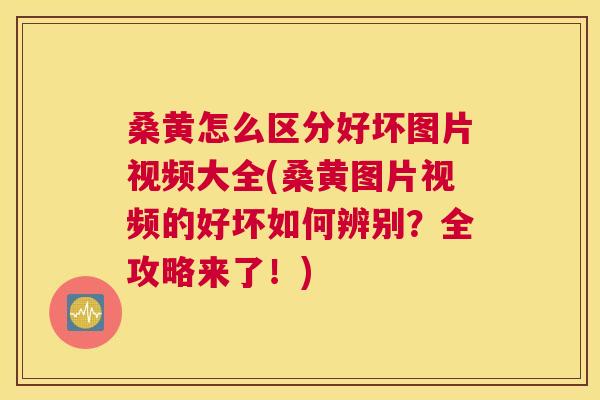 桑黄怎么区分好坏图片视频大全(桑黄图片视频的好坏如何辨别?全攻略来了!) 桑黄怎么区分好坏图片视频大全(桑黄图片视频的好坏如何辨别?全攻略来了!)