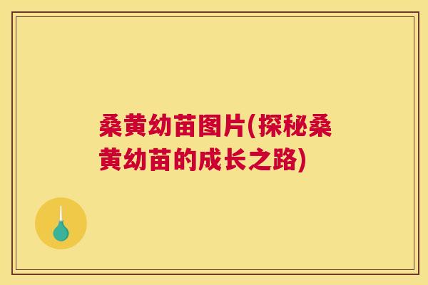 桑黄幼苗图片(探秘桑黄幼苗的成长之路)