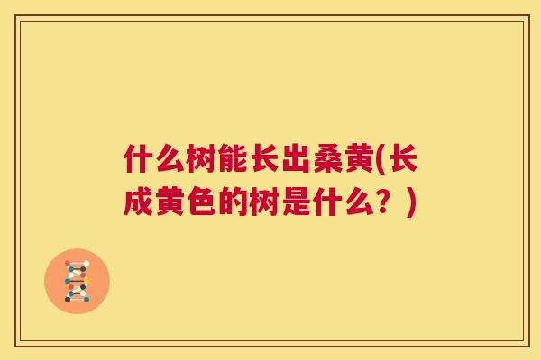什么树能长出桑黄(长成黄色的树是什么?) 什么树能长出桑黄(长成黄色的树是什么?)