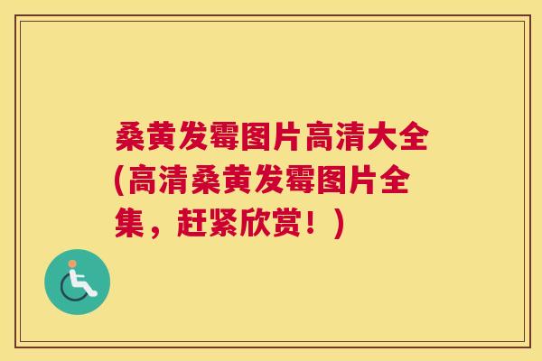 桑黄发霉图片高清大全(高清桑黄发霉图片全集,赶紧欣赏!) 桑黄发霉图片高清大全(高清桑黄发霉图片全集,赶紧欣赏!)