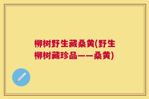柳树野生藏桑黄(野生柳树藏珍品——桑黄) 柳树野生藏桑黄(野生柳树藏珍品——桑黄)