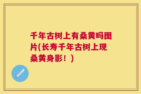 千年古树上有桑黄吗图片(长寿千年古树上现桑黄身影!) 千年古树上有桑黄吗图片(长寿千年古树上现桑黄身影!)