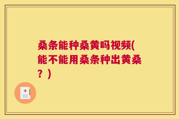 桑条能种桑黄吗视频(能不能用桑条种出黄桑?) 桑条能种桑黄吗视频(能不能用桑条种出黄桑?)