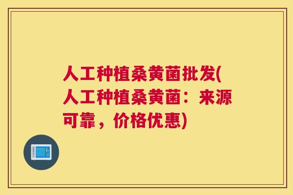 人工种植桑黄菌批发(人工种植桑黄菌:来源可靠,价格优惠) 人工种植桑黄菌批发(人工种植桑黄菌:来源可靠,价格优惠)