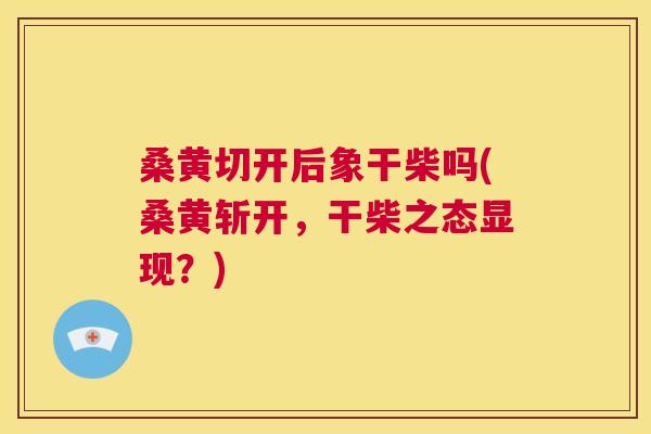 桑黄切开后象干柴吗(桑黄斩开,干柴之态显现?) 桑黄切开后象干柴吗(桑黄斩开,干柴之态显现?)