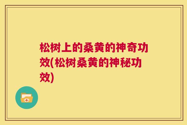 松树上的桑黄的神奇功效(松树桑黄的神秘功效) 松树上的桑黄的神奇功效(松树桑黄的神秘功效)