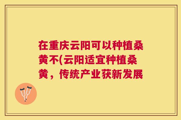 在重庆云阳可以种植桑黄不(云阳适宜种植桑黄,传统产业获新发展 在重庆云阳可以种植桑黄不(云阳适宜种植桑黄,传统产业获新发展