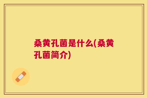 桑黄孔菌是什么(桑黄孔菌简介) 桑黄孔菌是什么(桑黄孔菌简介)