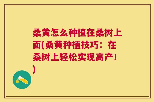 桑黄怎么种植在桑树上面(桑黄种植技巧:在桑树上轻松实现高产!) 桑黄怎么种植在桑树上面(桑黄种植技巧:在桑树上轻松实现高产!)