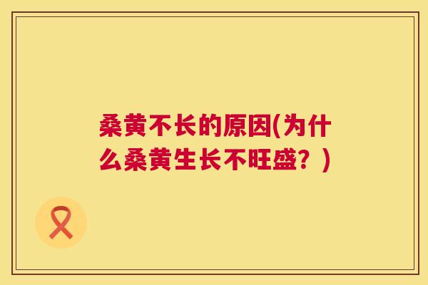 桑黄不长的原因(为什么桑黄生长不旺盛?) 桑黄不长的原因(为什么桑黄生长不旺盛?)